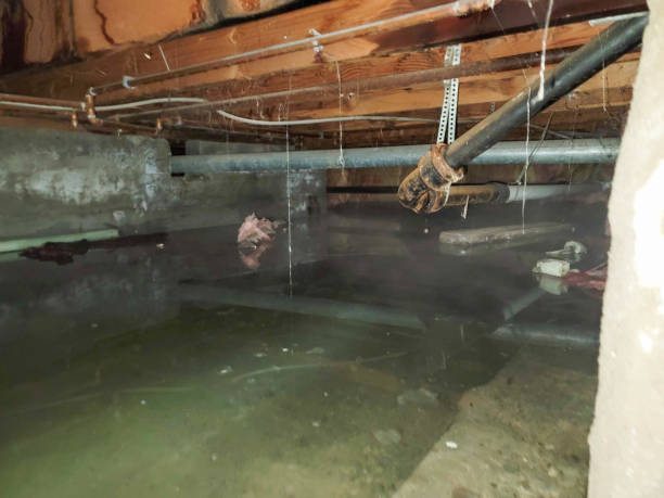 Best Sewage cleanup and water damage restoration  in Mill Hall, PA