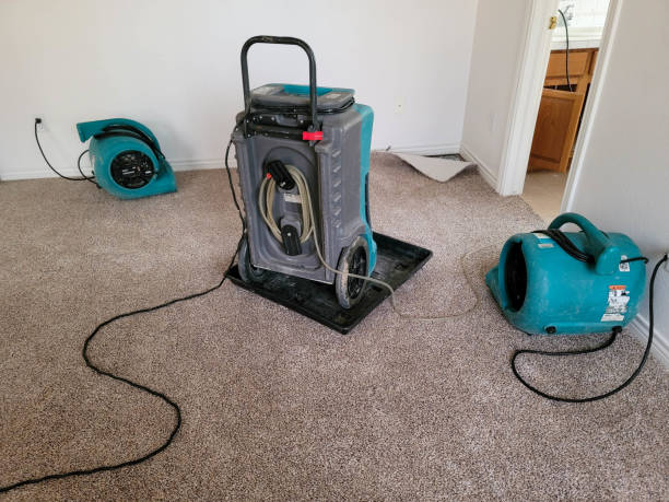 Best Water damage contractors near me  in Mill Hall, PA