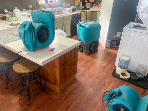Best Water damage restoration cost  in Mill Hall, PA