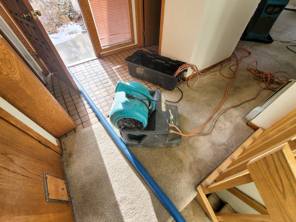 Best Water damage cleanup near me  in Mill Hall, PA