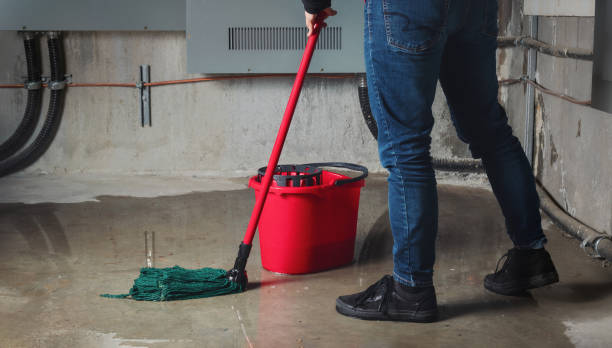 Best 24-hour water damage restoration  in Mill Hall, PA