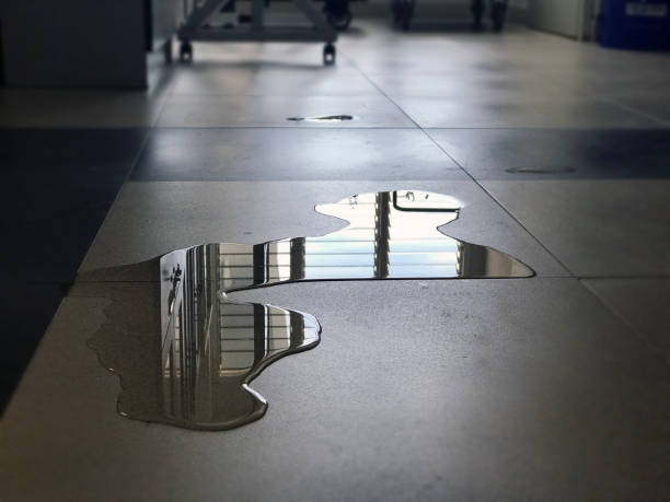 Best Water damage restoration near me  in Mill Hall, PA