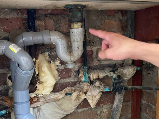 Best Sewage cleanup and water damage restoration  in Mill Hall, PA